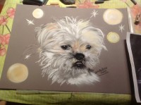 /album/galerie-photos/photo-1527-jpg/